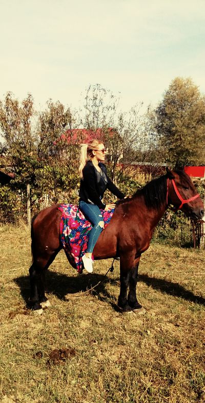 Diane Holmes - Escort Girl from Plano Texas