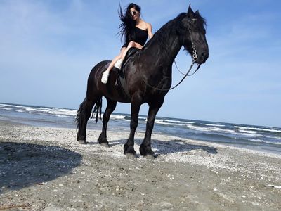 Tracy Price - Escort Girl from Oceanside California