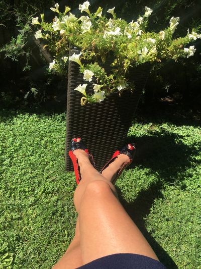 Alicia The Lady - Escort Girl from Jurupa Valley California