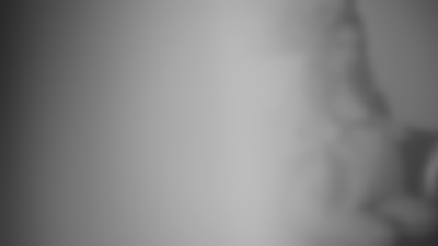 Ebony Escort in Waterbury Connecticut