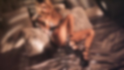 Aria Lu - Escort Girl from St. Louis Missouri