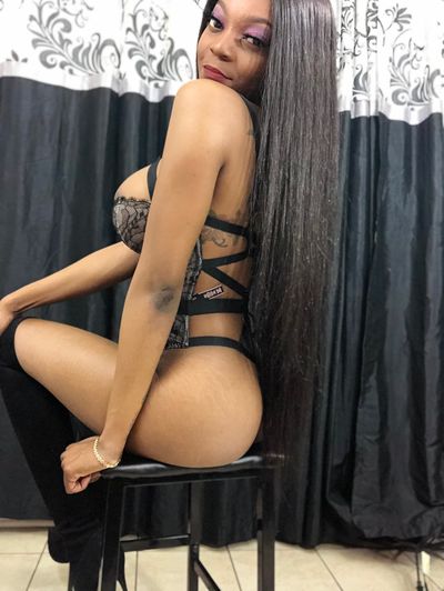 Latina Escort in New York City New York