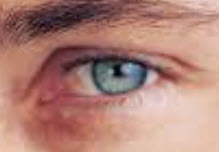 Cameron Monroy - Daddy Phoenix, USA