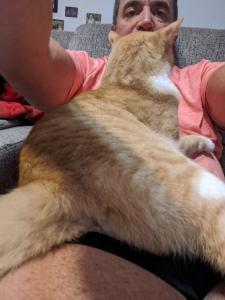 Carl Cork - Daddy Springfield, USA