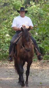 Henry Tillman - Daddy Tulsa, USA