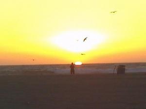 John Sanchez - Daddy Bloomington, USA