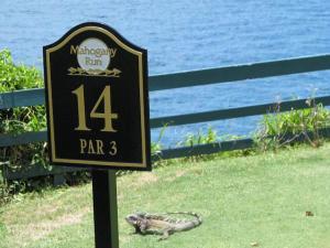 Manuel Taylor - Daddy Colorado, USA