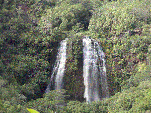 Noel Pollock - Daddy Charlotte, USA