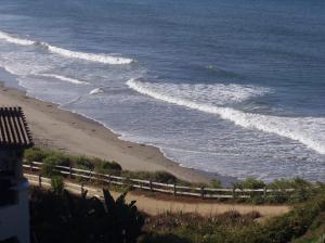 Robert Choy - Daddy New Orleans, USA