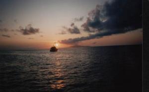 Robert Powell - Daddy Sheffield, United Kingdom